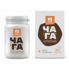 chaga